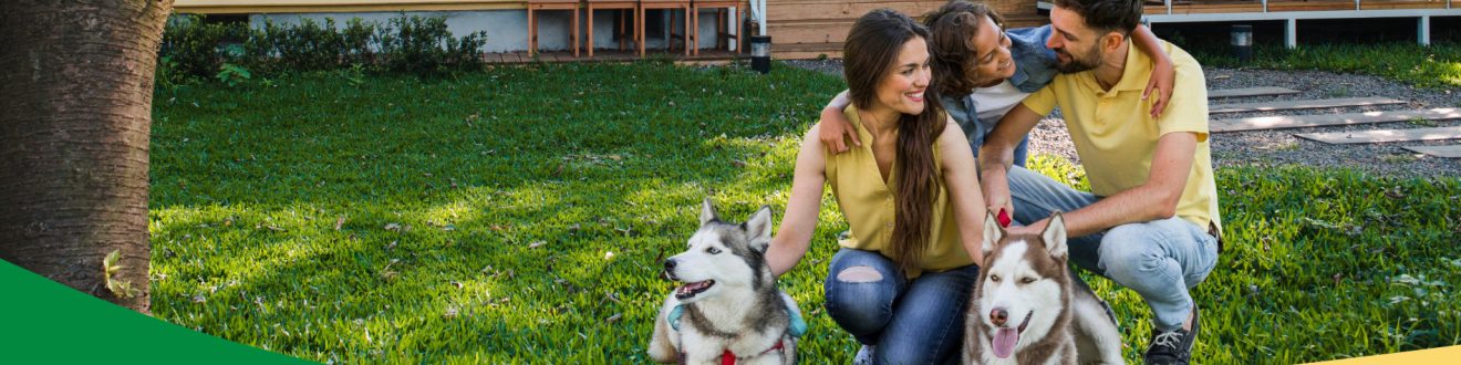 Renovación Exequial